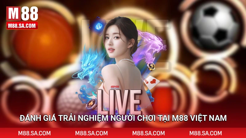 Những trận tranh tài đá gà mãn nhãn