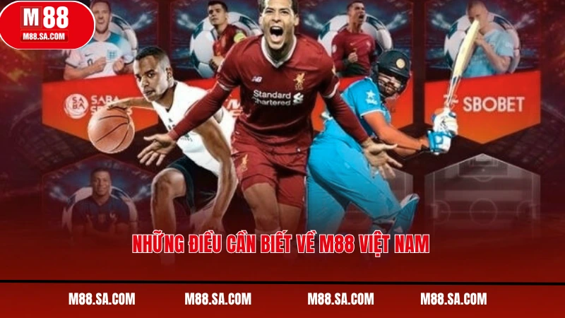 Những điều cần biết về M88 Việt Nam